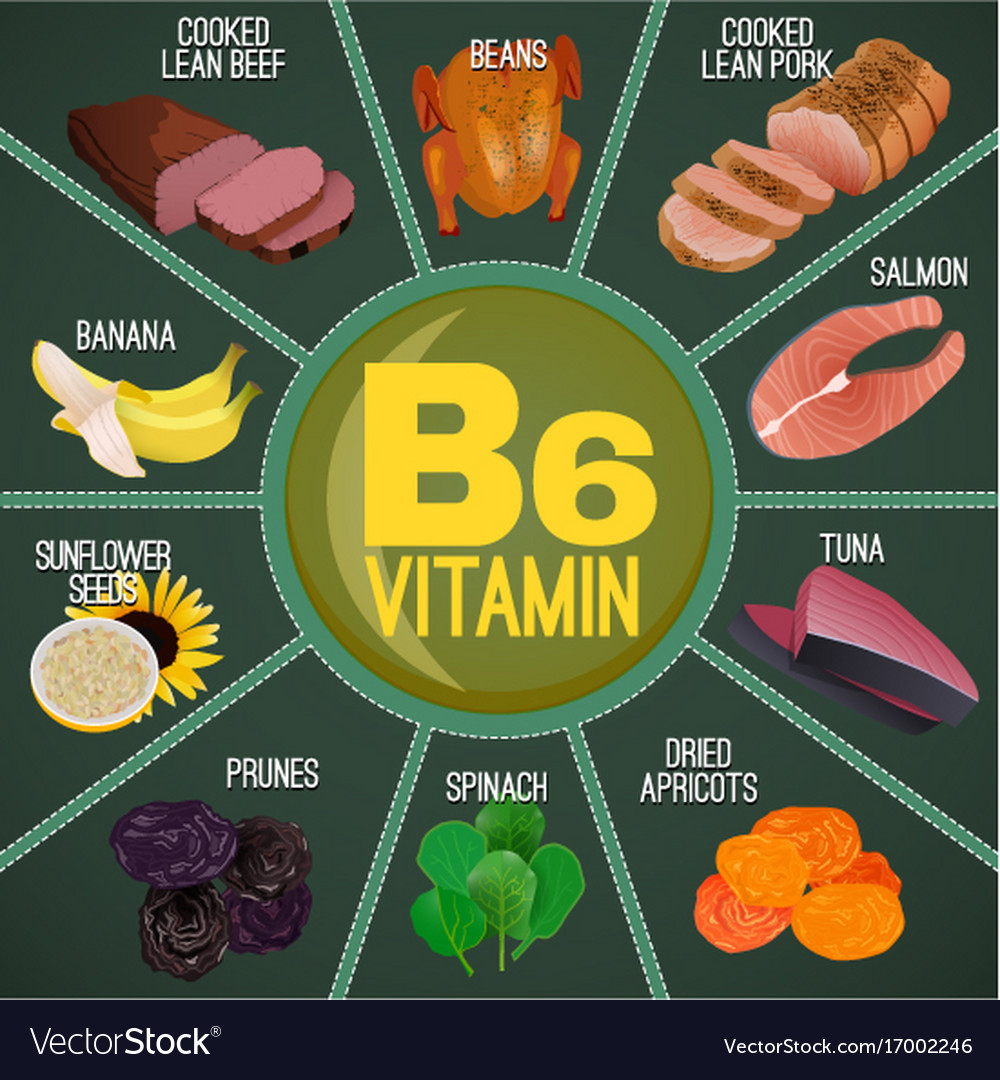 Vitamin B6 Foods Royalty Free Vector Image VectorStock