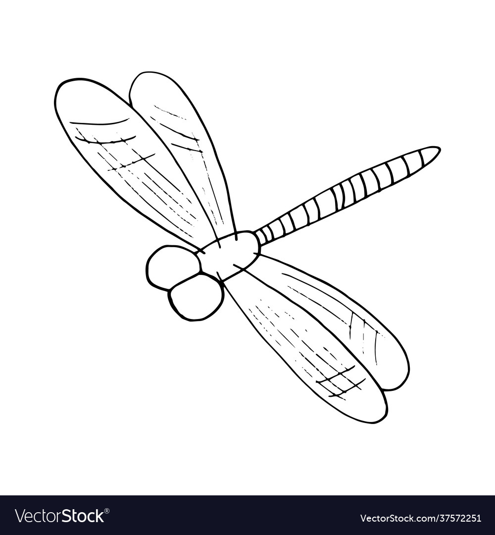 Dragonfly Icon Hand Drawn Doodle Style Royalty Free Vector