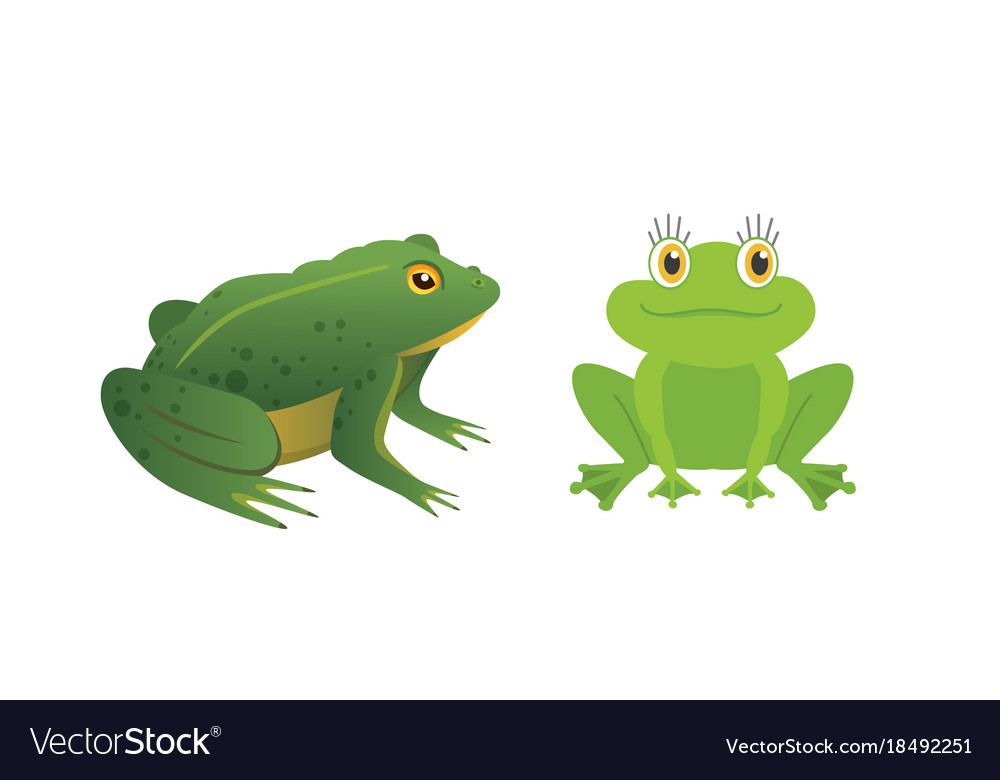 Exotic amphibian set frogs in different styles Vector Image