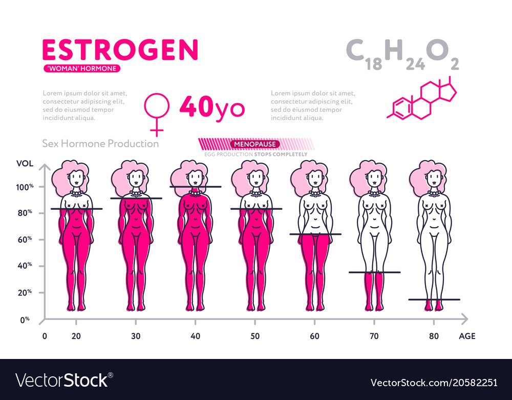 Representation Female Hormone During Lifetime Vector Image 3097