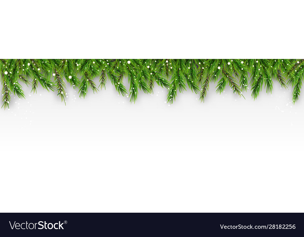 Merry christmas decorative with snow falling pine vector image Merry christmas decorative with snow falling pine