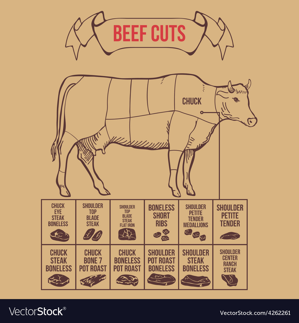 Vintage Butcher Cuts Of Beef Scheme Royalty Free Vector