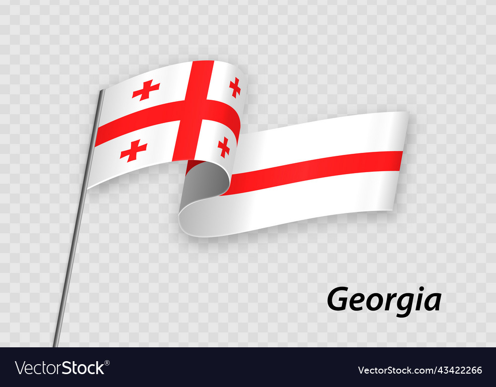 Waving flag of on flagpole template Vector Image