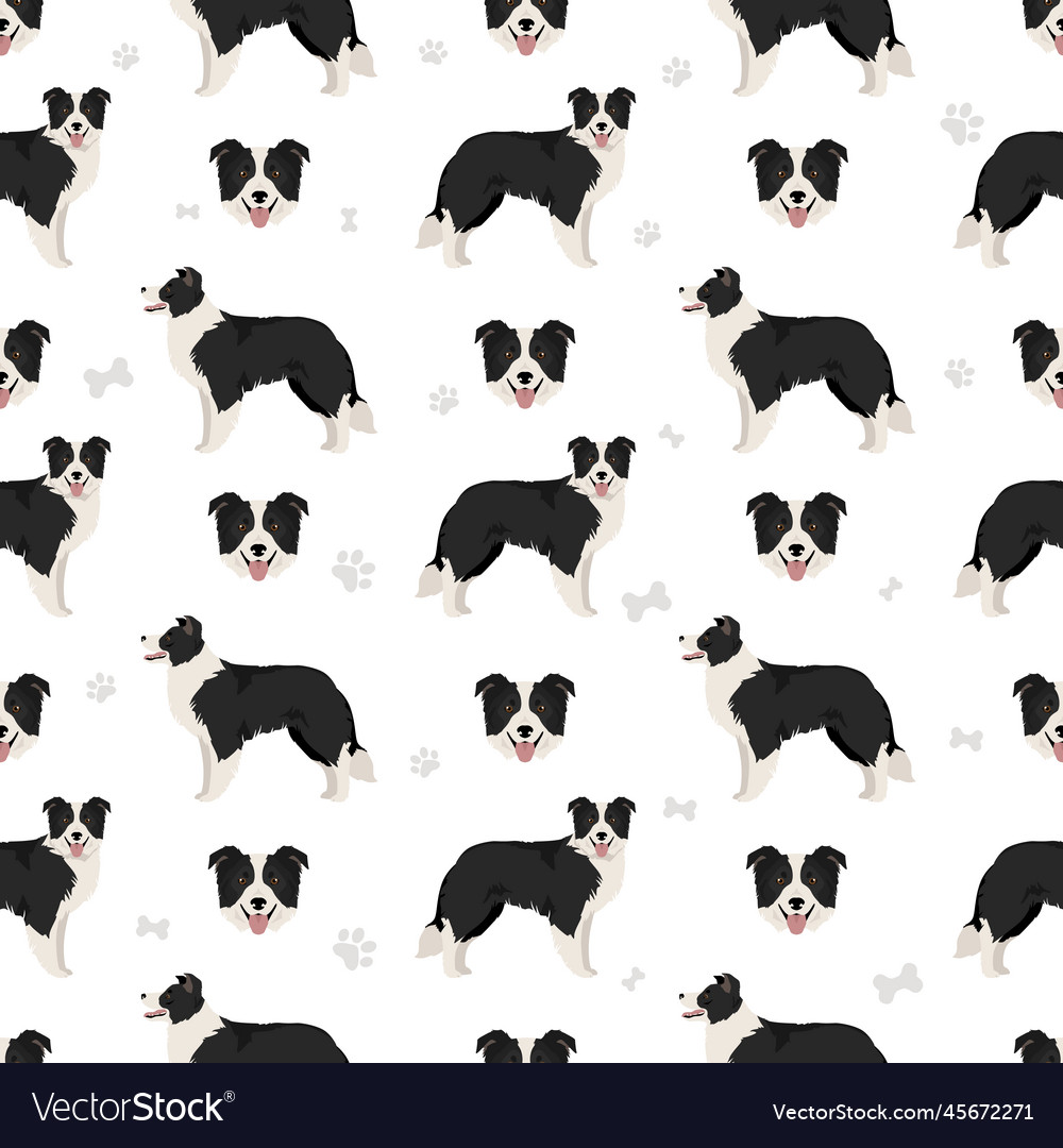 Border collie dog seamless pattern Royalty Free Vector Image