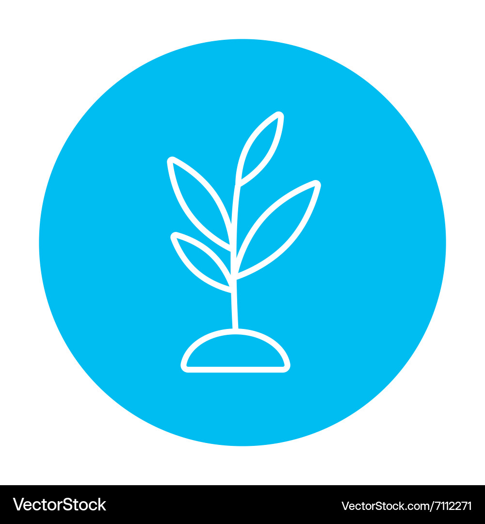 Sprout line icon Royalty Free Vector Image - VectorStock