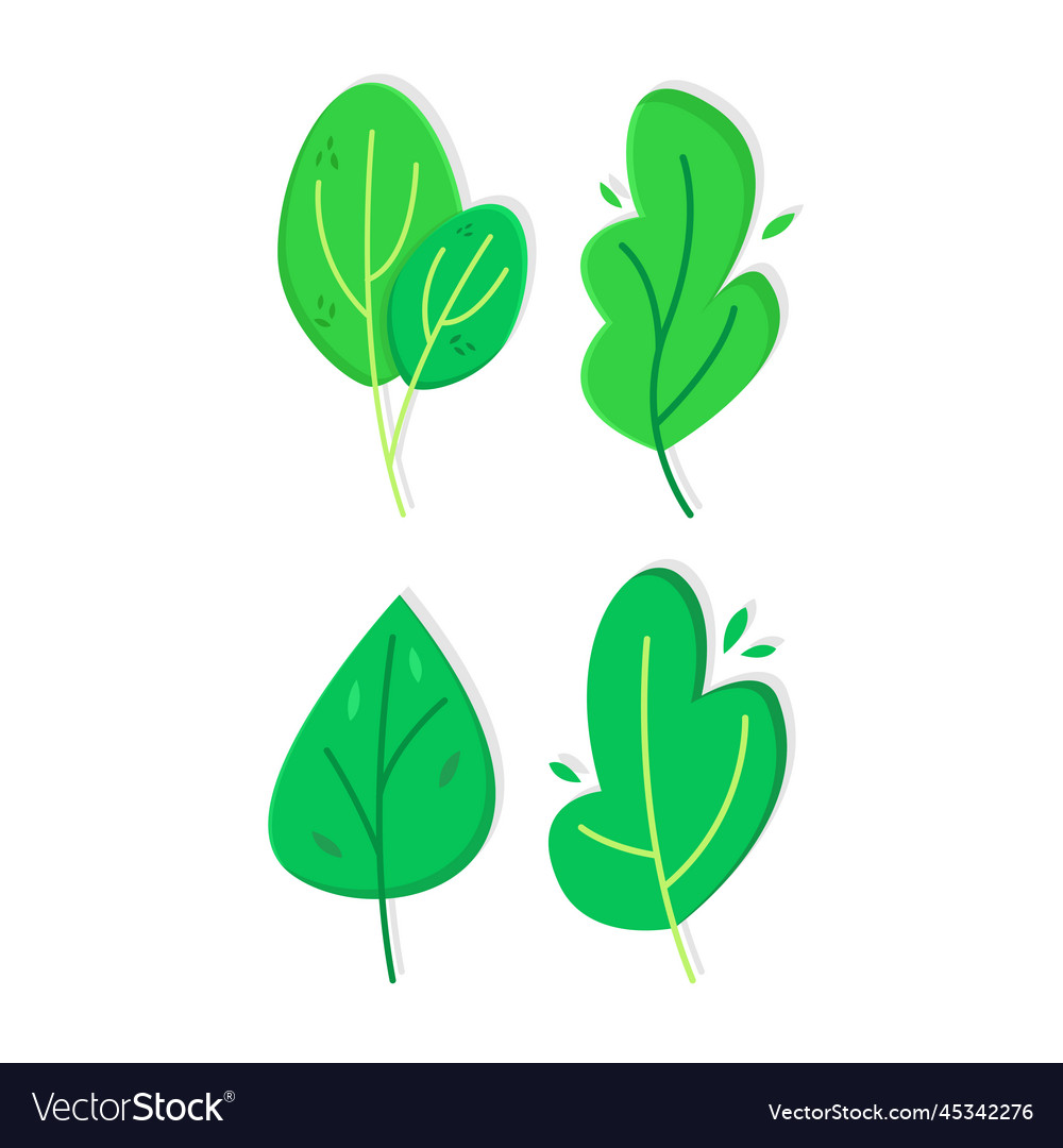 Cute minimal leaves Royalty Free Vector Image - VectorStock