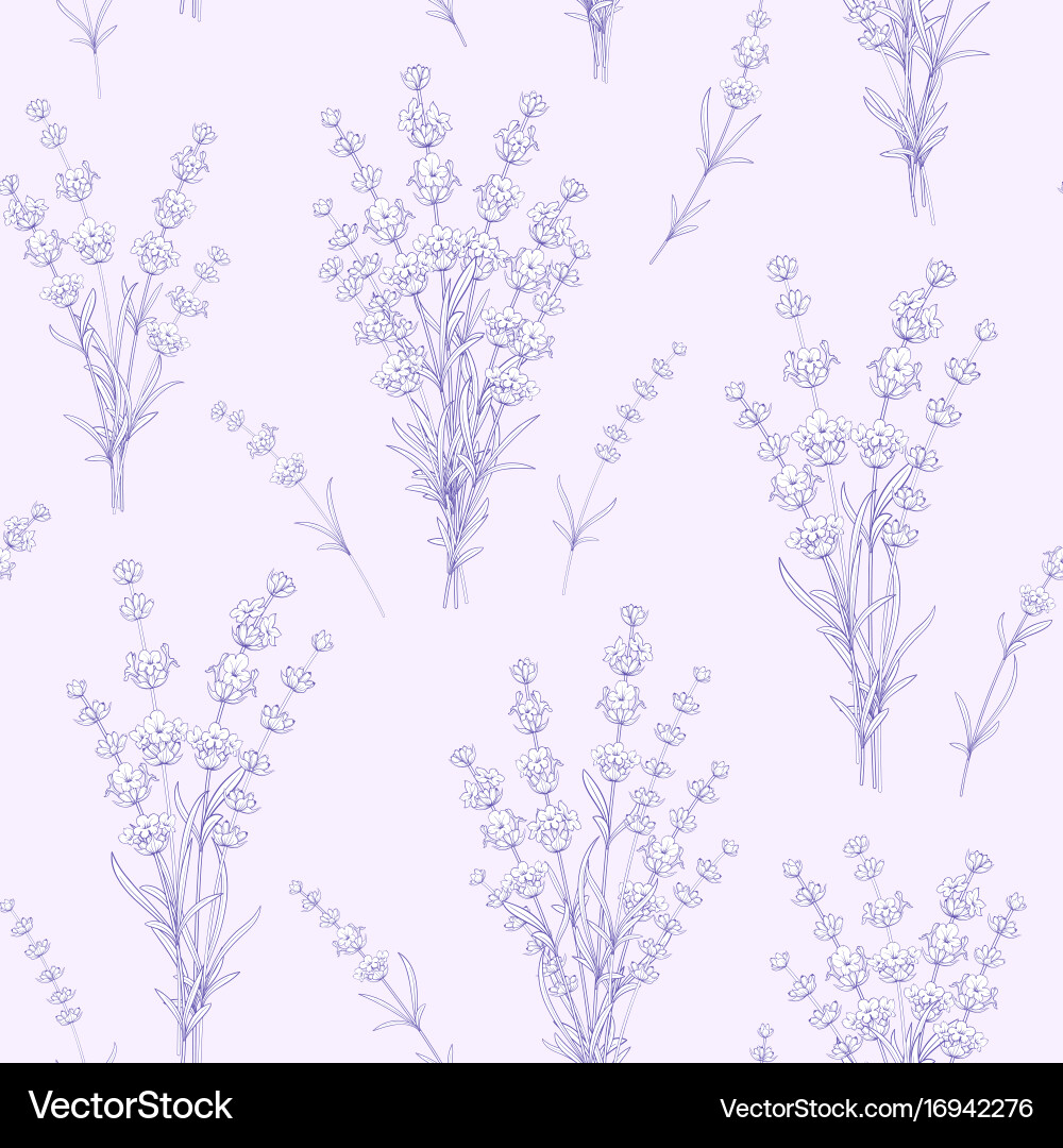 Seamless pattern lavender flowers Royalty Free Vector Image