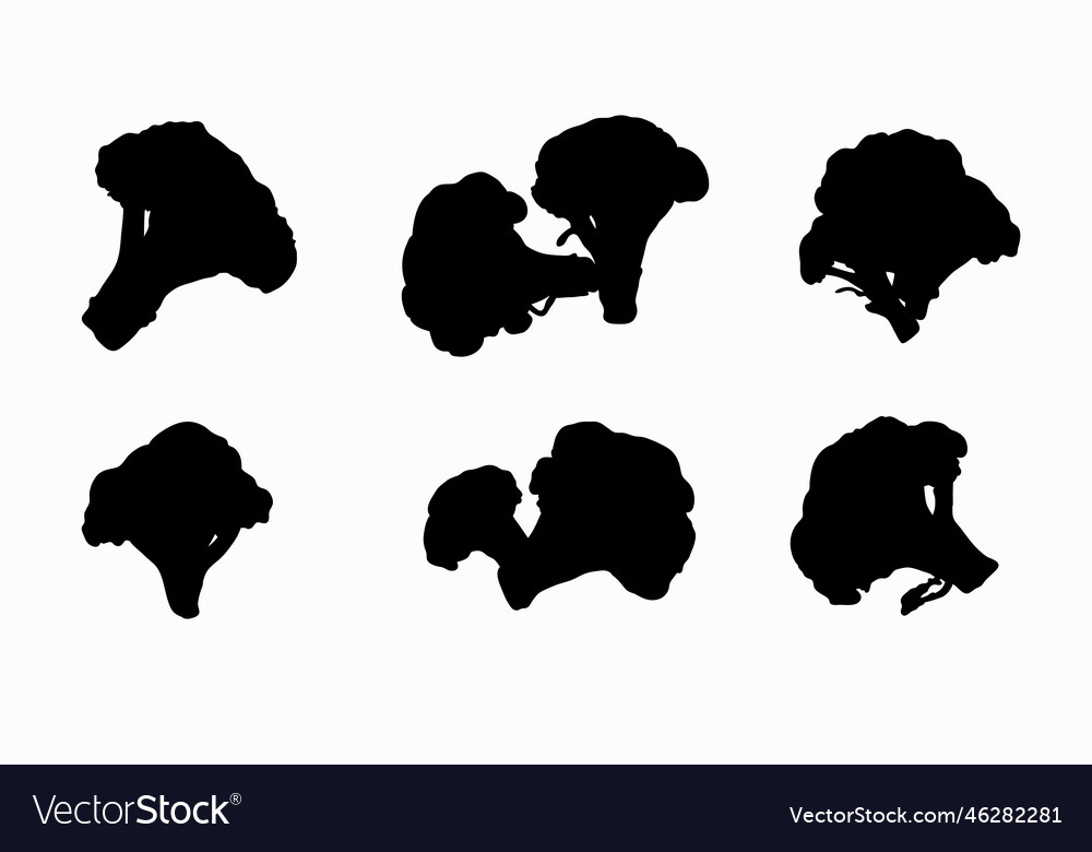 Set Of Silhouettes Broccoli Royalty Free Vector Image 0899