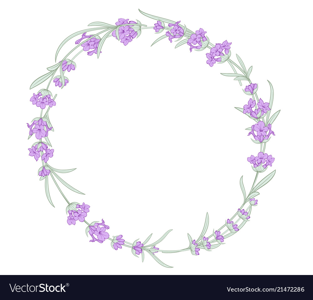 Lavender wreath for your text presentation Vector Image