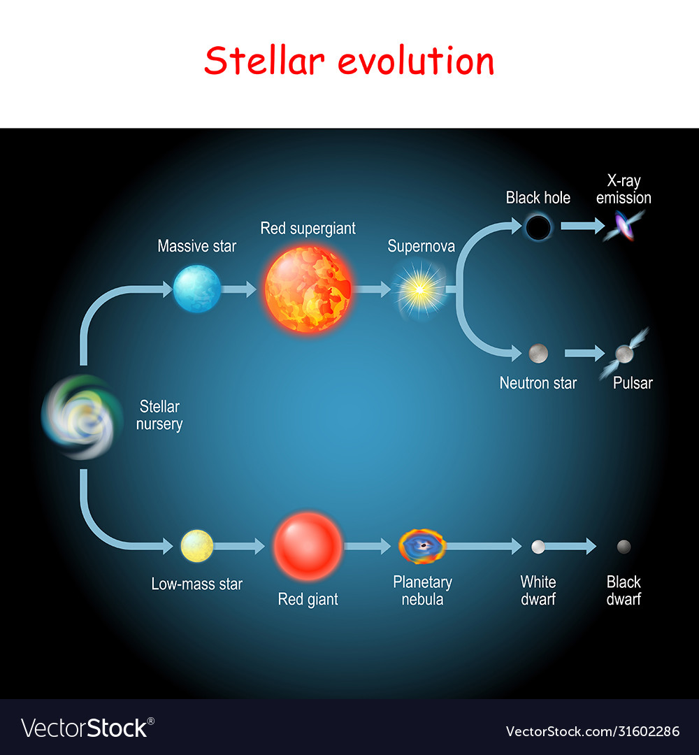 Stellar evolution life cycle a star Royalty Free Vector