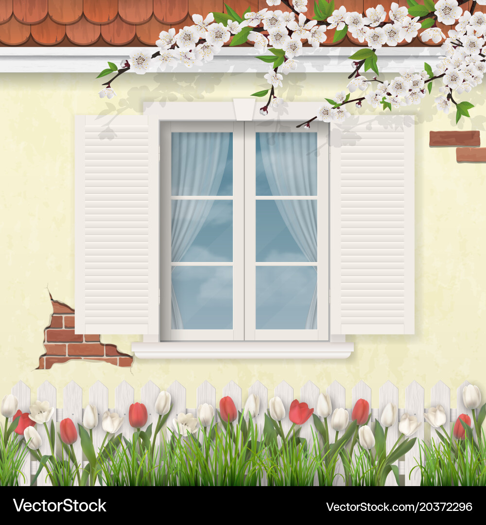 Spring old facade wooden window branch tulips Vector Image