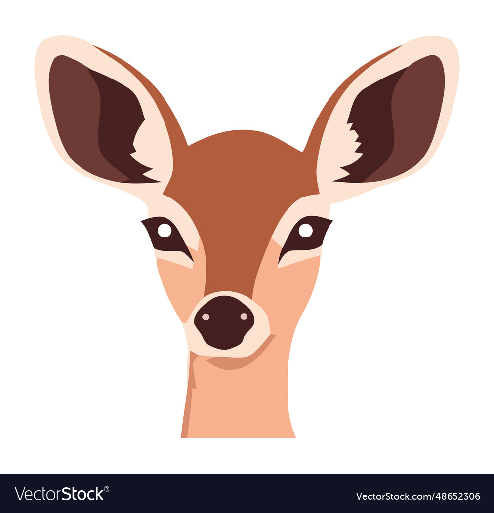 Cute deer portrait Royalty Free Vector Image - VectorStock