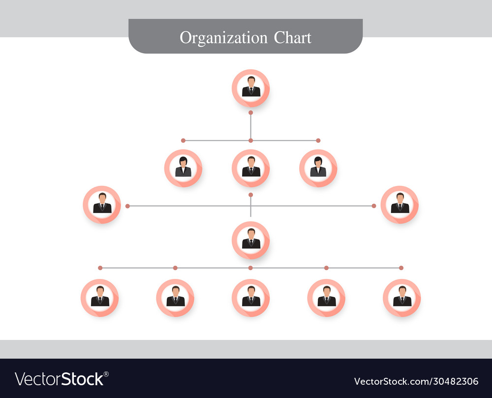 Organization chartinfographics with people icon Vector Image