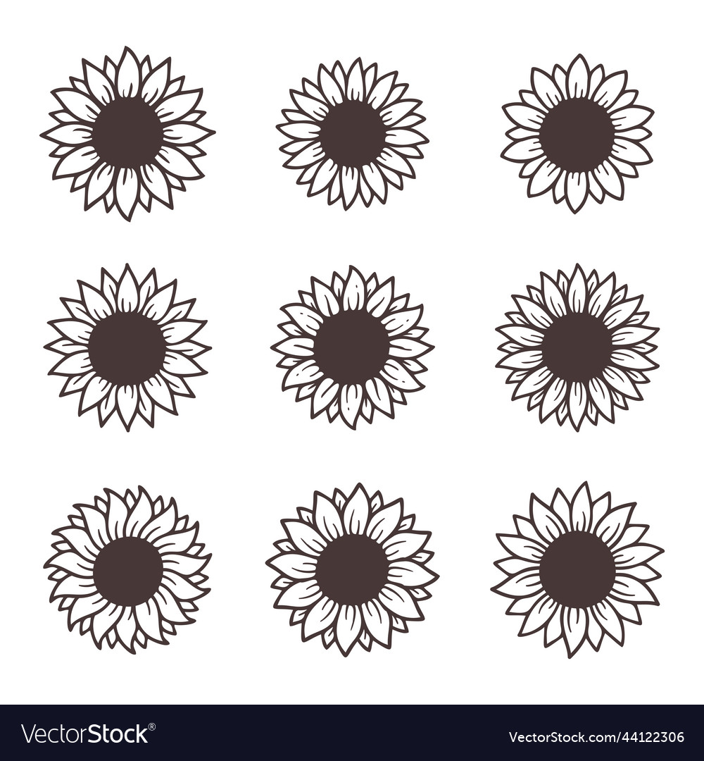 Yellow sunflowers bloom in spring for decorating Vector Image