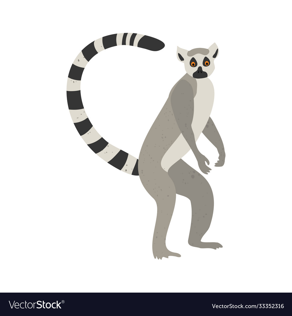 Cute funny lemur on an isolated white background Vector Image