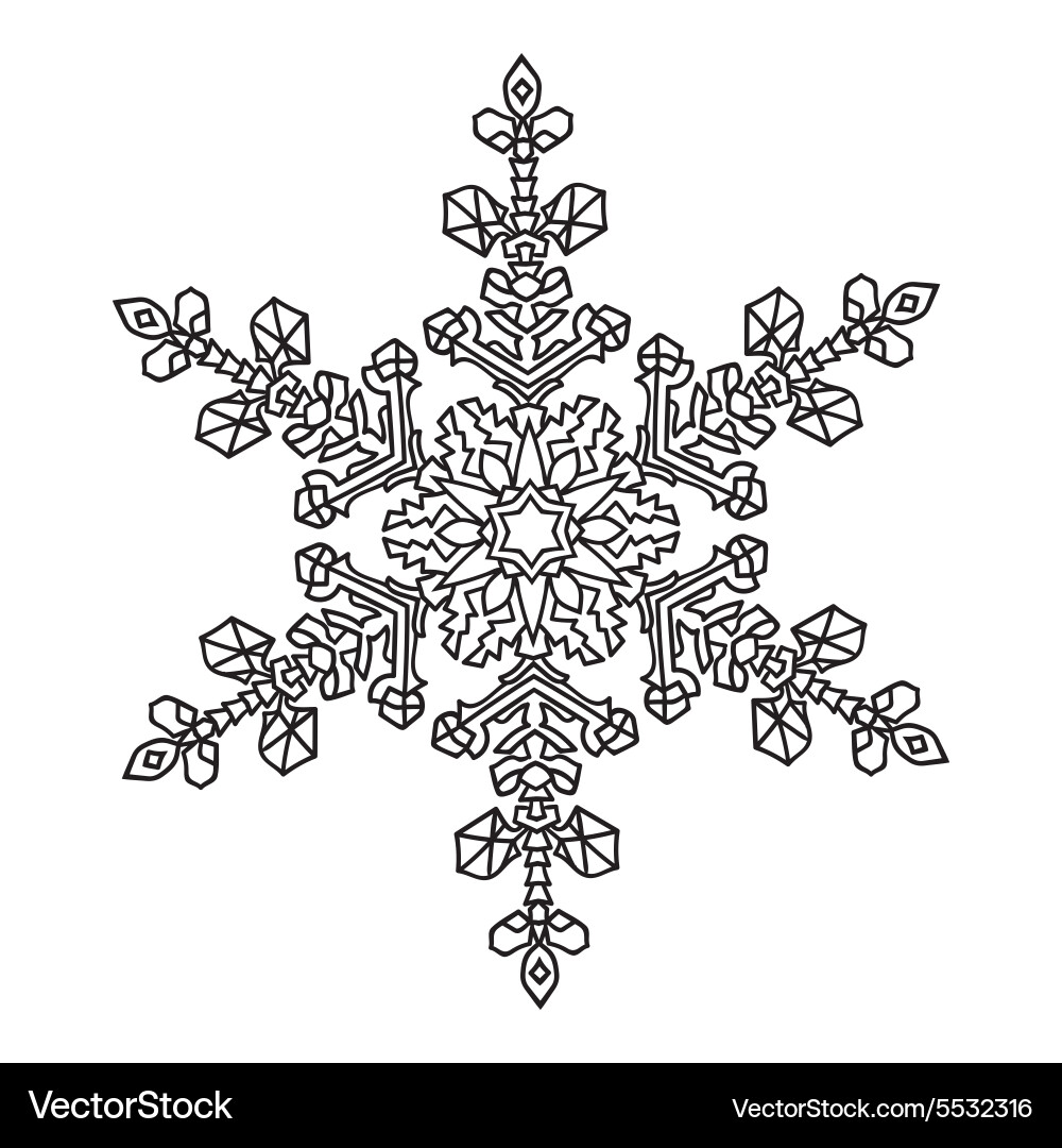 Hand-drawn doodles natural snowflake Zentangle Vector Image