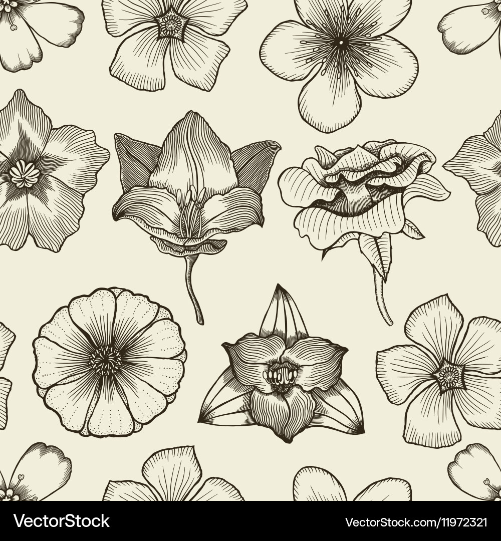 Doodle flowers seamless pattern Royalty Free Vector Image