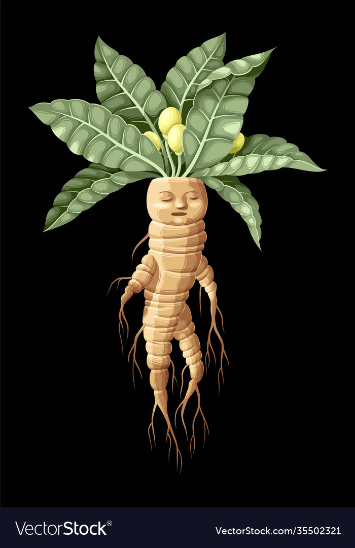 Mandrake Roots Stock Illustrations – 20 Mandrake Roots Stock