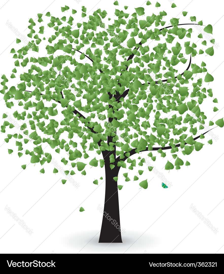 Tree with green leaves Royalty Free Vector Image
