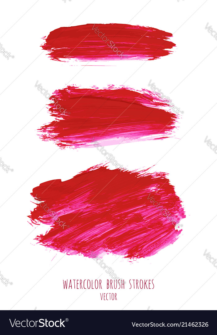 Magenta Pink Rose Red Watercolor Hand Painted Vector Image