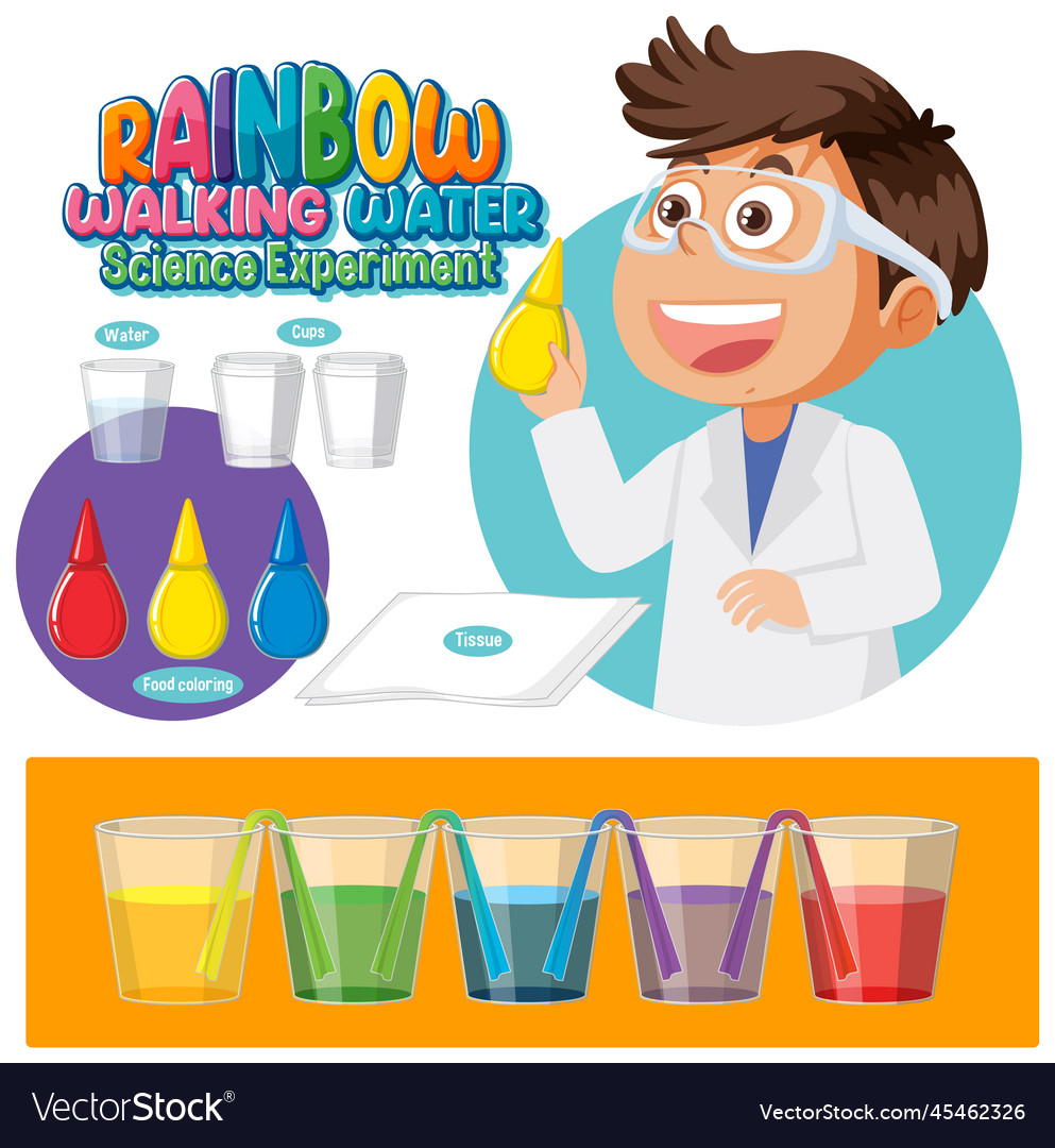 Rainbow walking water science experiment Vector Image