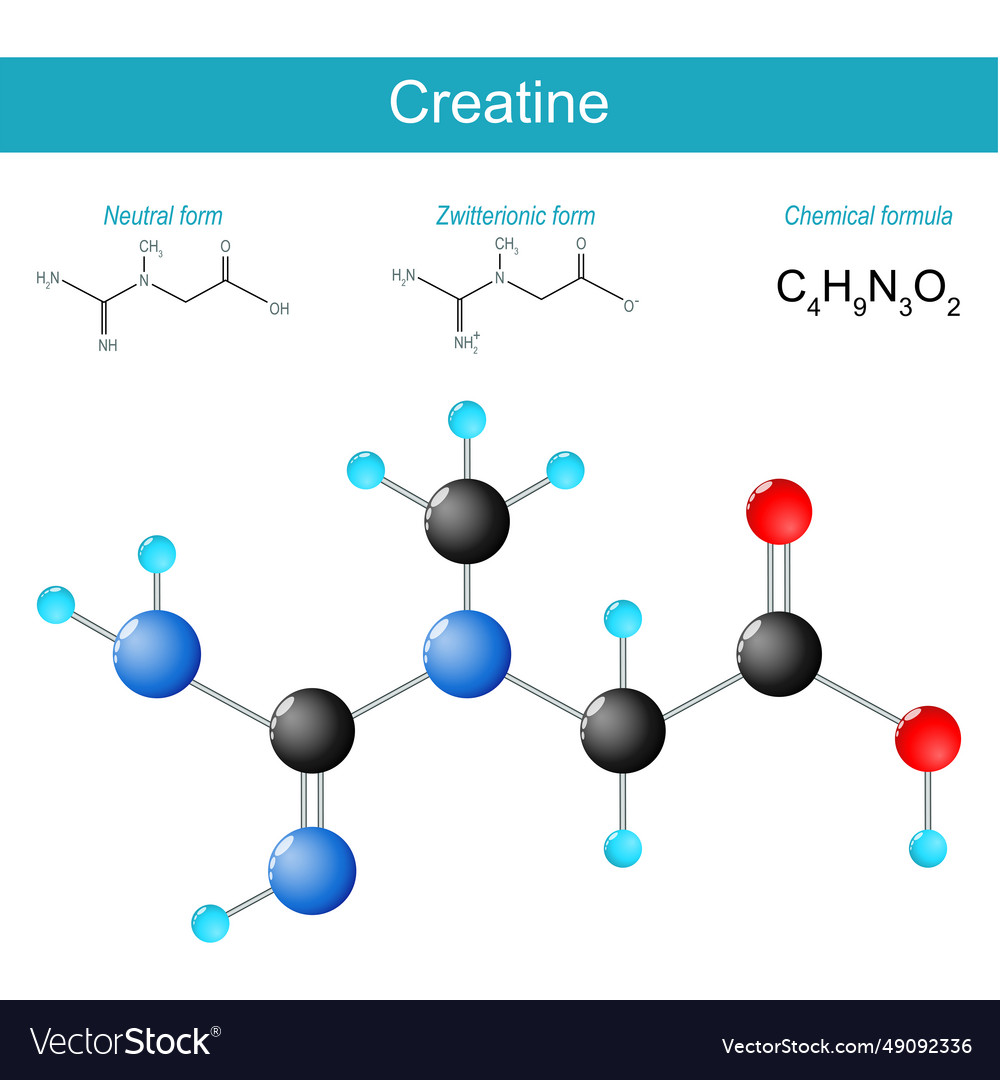 Creatine Structural Chemical Formula And Molecule Sheet Of , 59 OFF