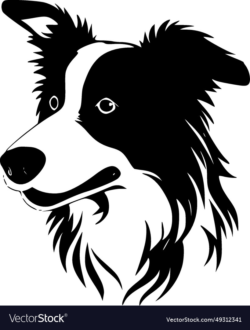 Border Collie - Black And White Isolated Icon Vector Image