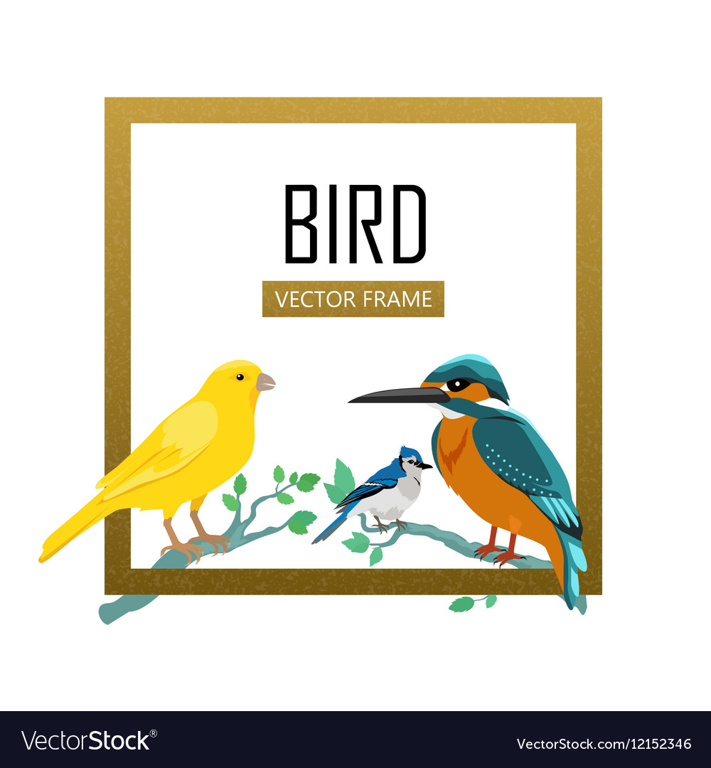 Birds Frame Flat Design Royalty Free Vector Image