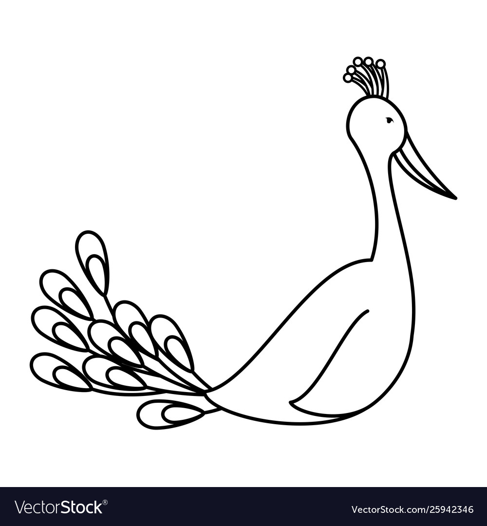 Indian Peacock Bird Exotic Icon Royalty Free Vector Image