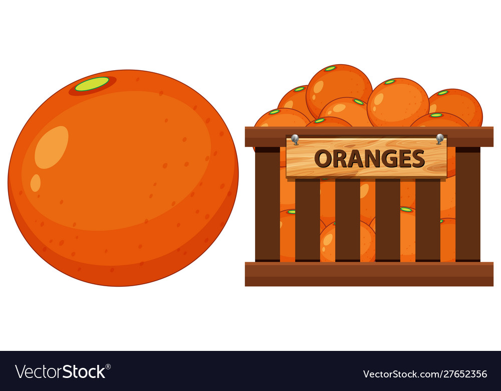 Basket full oranges on white background Royalty Free Vector