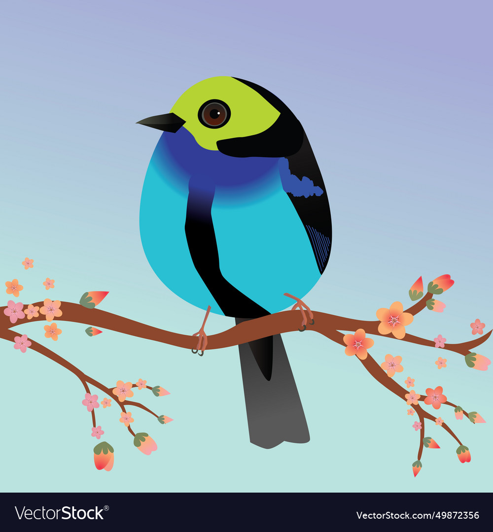 Cute egg shaped paradise tanager Royalty Free Vector Image