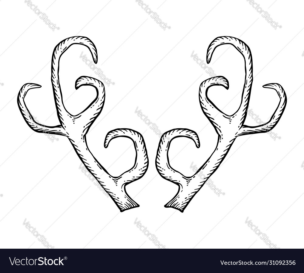 Hand drawn deer antlers Royalty Free Vector Image