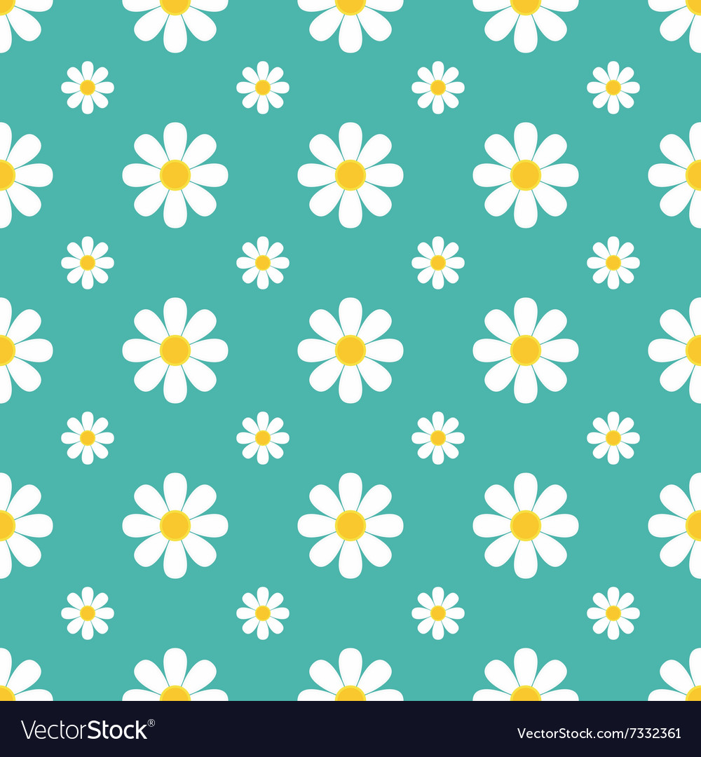 Chamomile pattern Royalty Free Vector Image - VectorStock