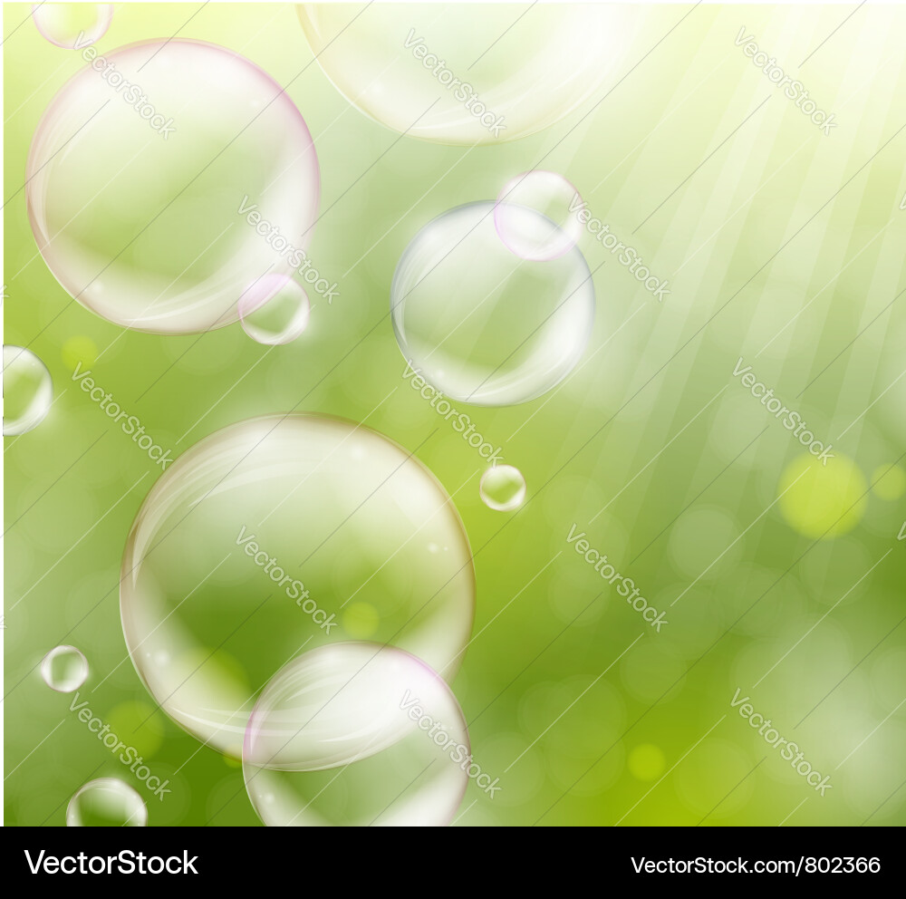 Soap bubbles Royalty Free Vector Image - VectorStock