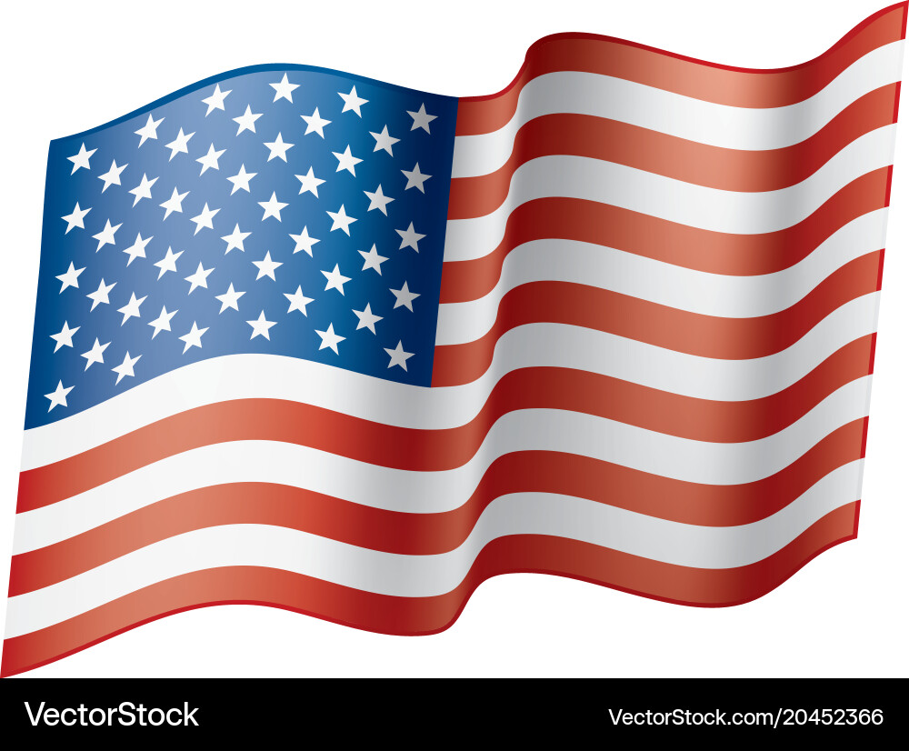 Usa flag isolated Royalty Free Vector Image - VectorStock