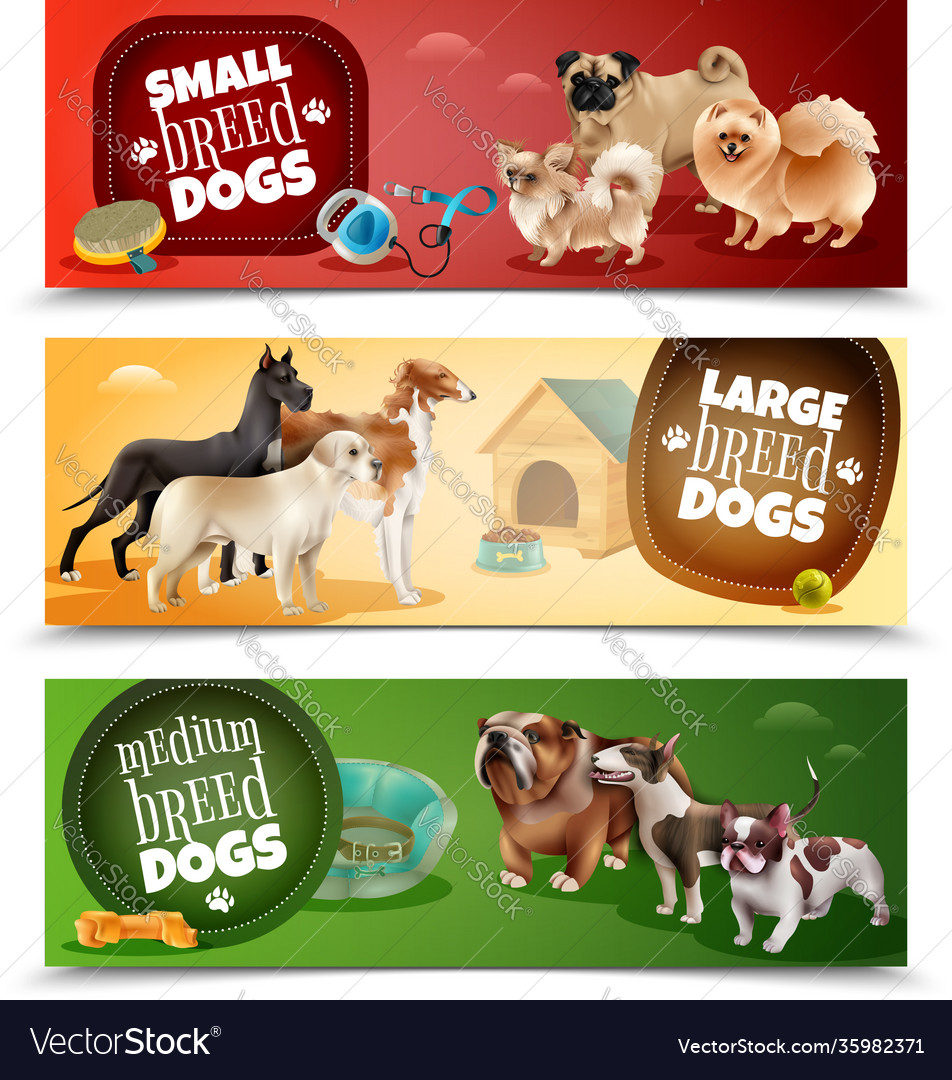 Dog breeds banner set Royalty Free Vector Image