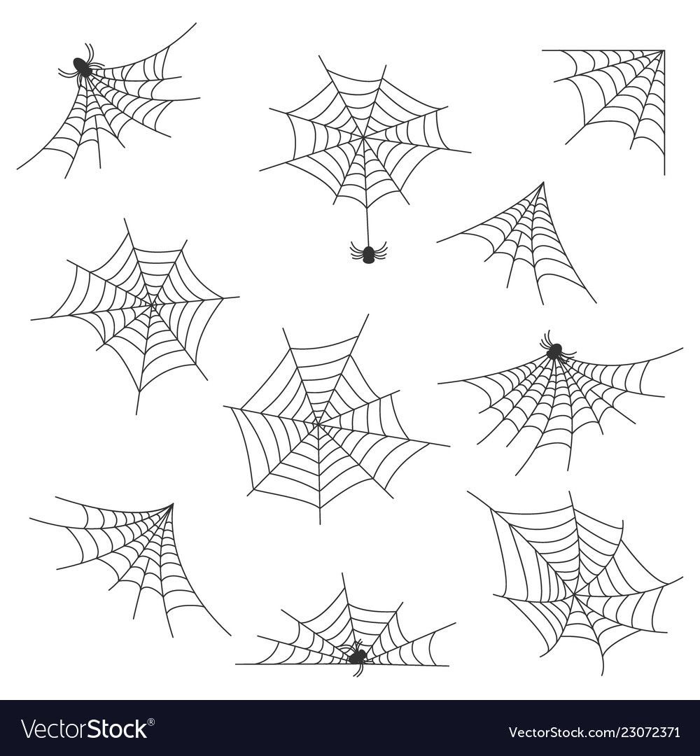 Types of Spider Webs