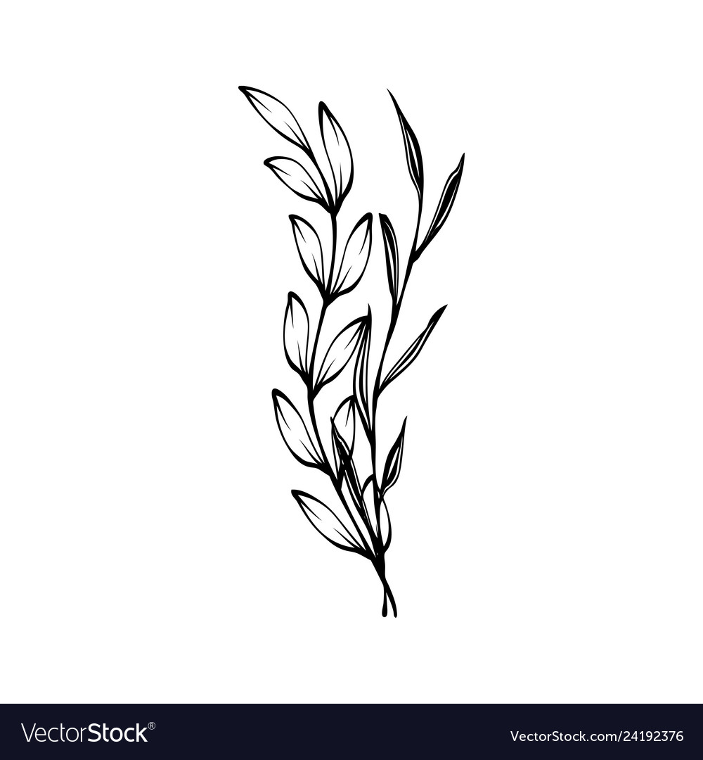 Laurel wreath Royalty Free Vector Image - VectorStock