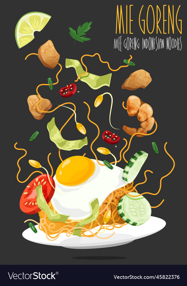 Mie goreng Royalty Free Vector Image - VectorStock