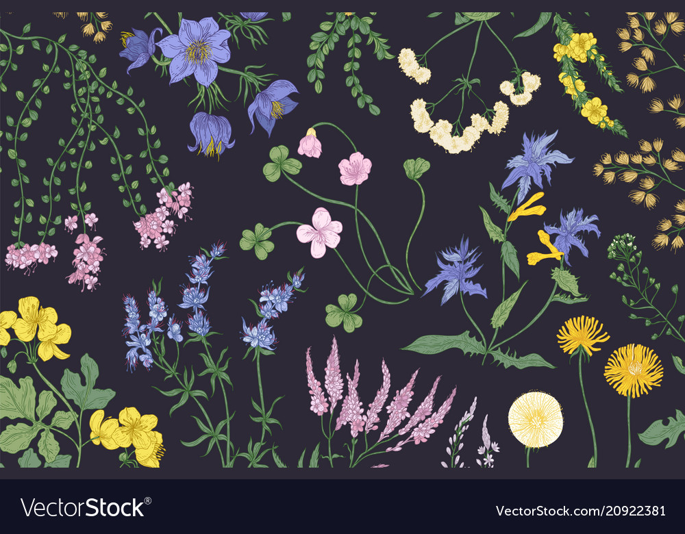 Beautiful horizontal botanical background Vector Image