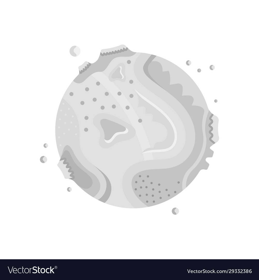 Moon vector image Moon