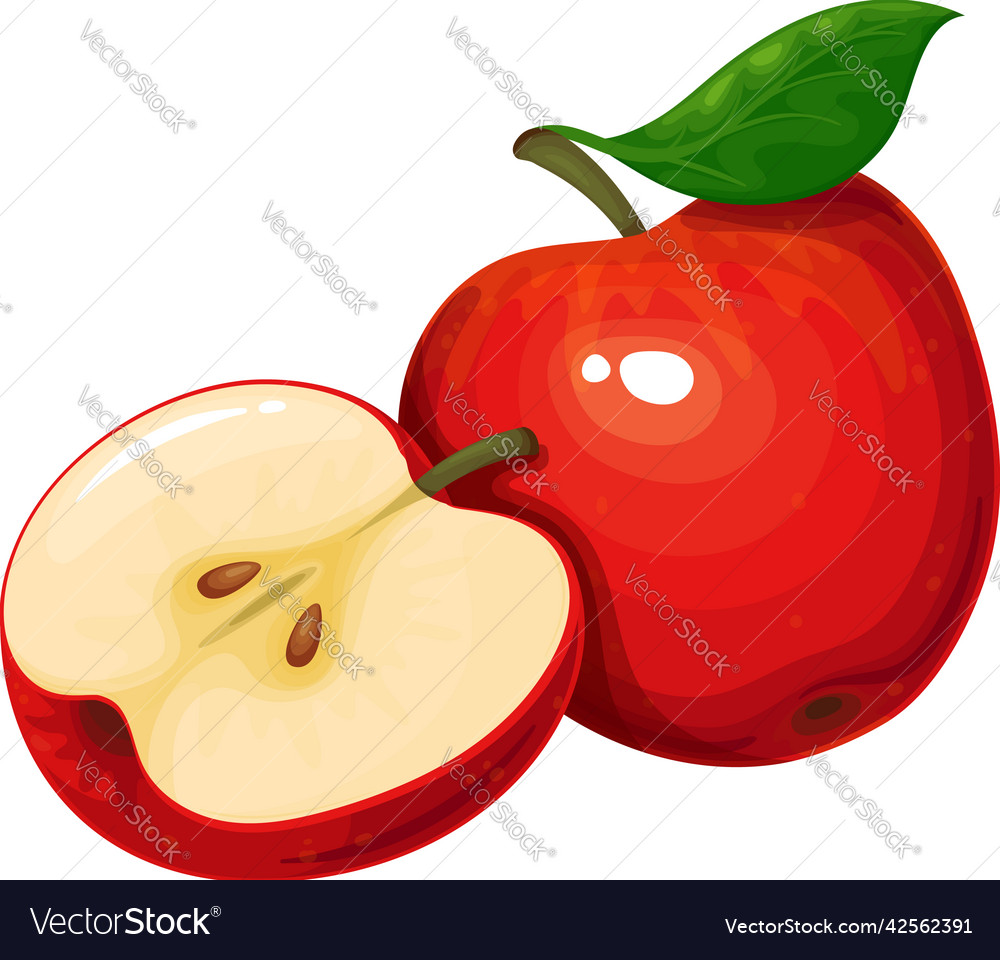 Red Apple Fruit Royalty Free Vector Image Vectorstock 4041