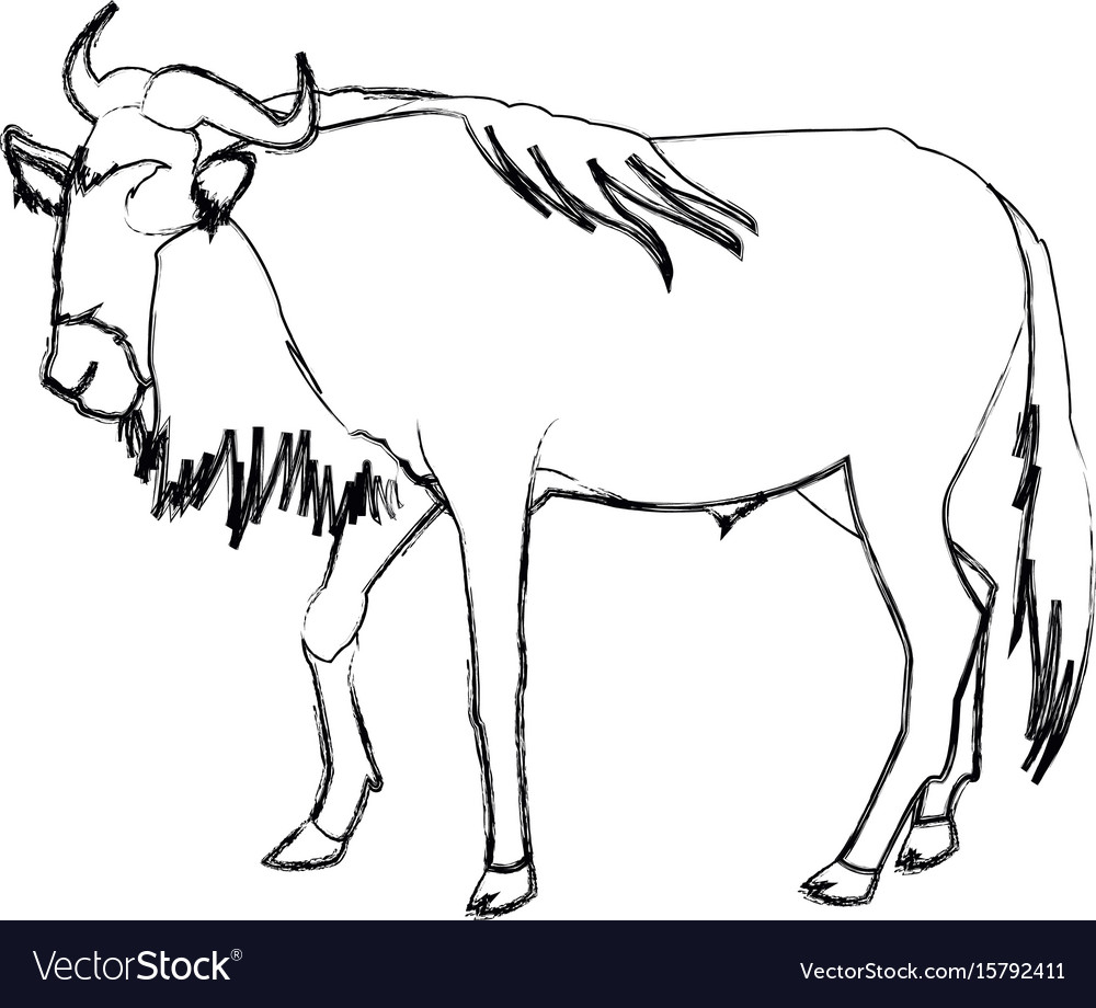 Wildebeest standing african wildlife animal Vector Image