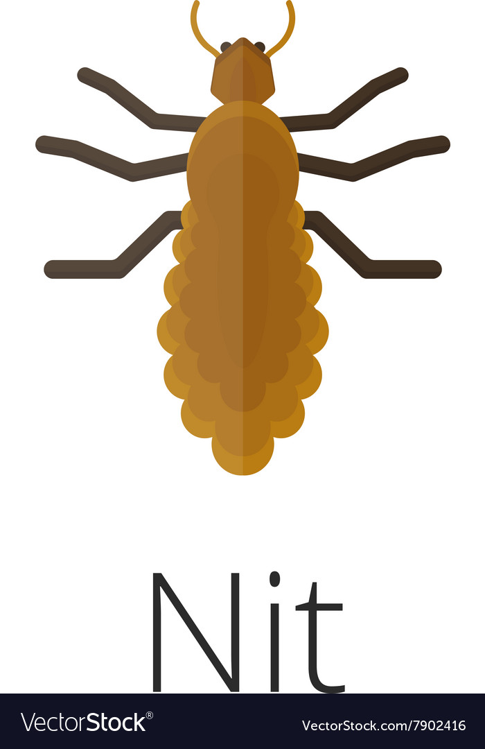 Found nits but no live bugs