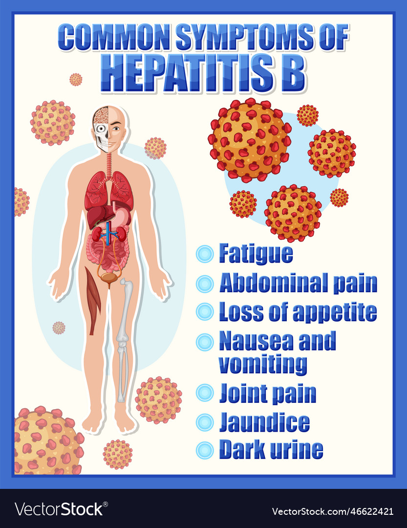 Informative poster of common symptoms hepatitis b Vector Image