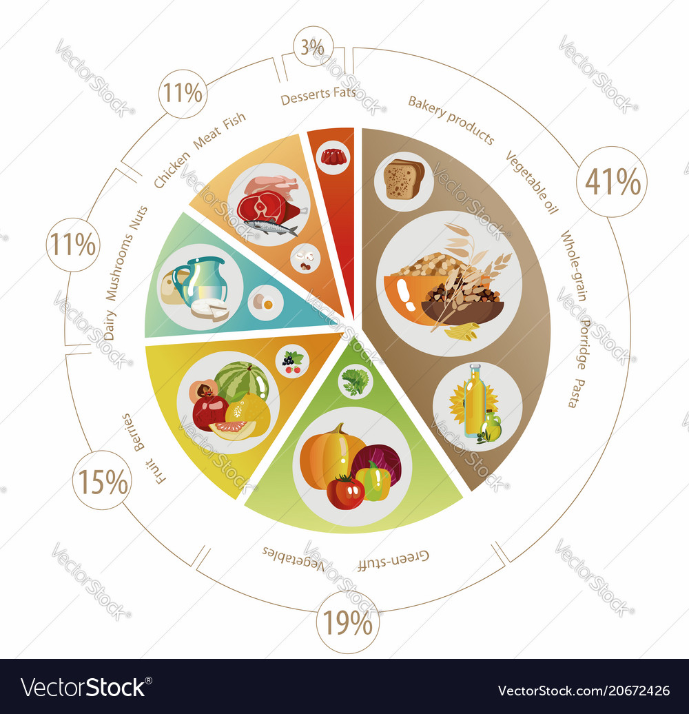 Food Pyramid Of Pie Chart Royalty Free Vector Image Food Pyramid Of Pie Chart Vector Image