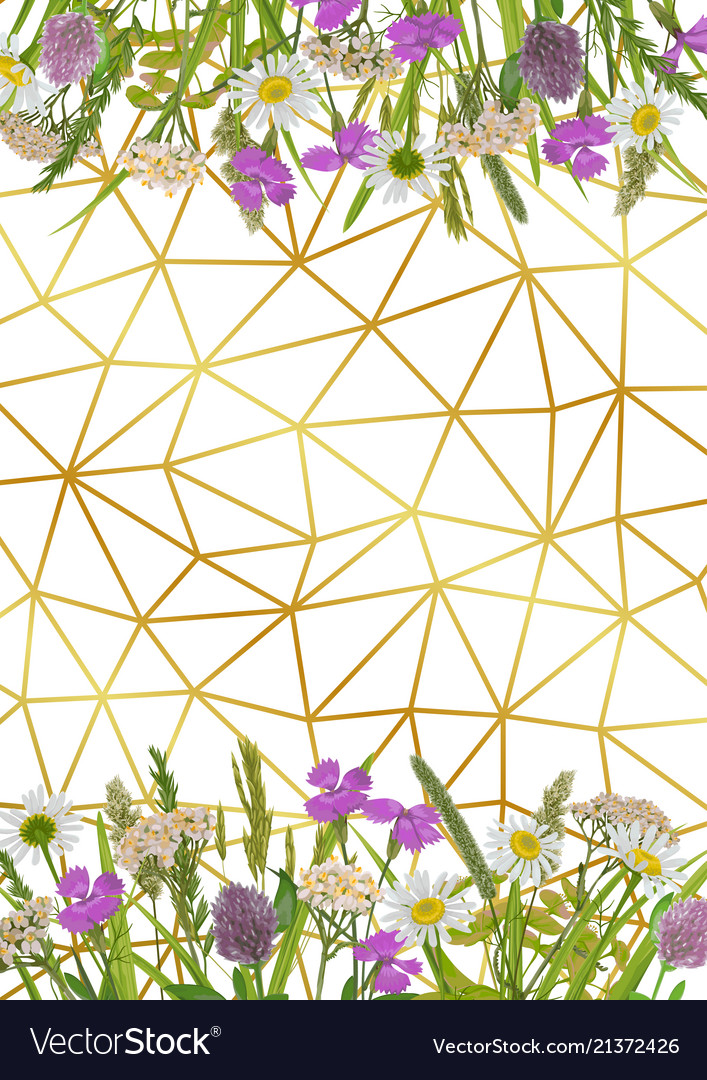 Geometric gold background with greenery vector image Geometric gold background with greenery