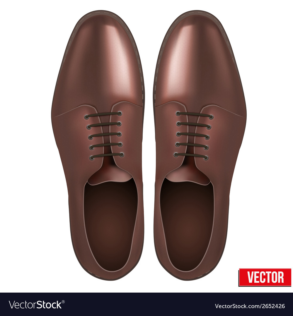 Male fashion classic brown shoes Royalty Free Vector Image