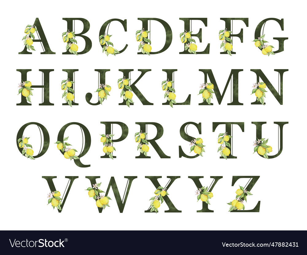 Alphabet with dark green letters decorated Vector Image