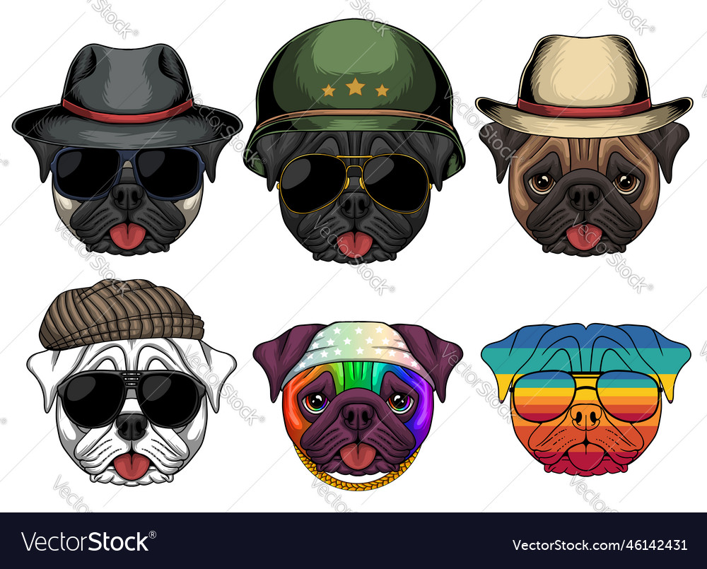 Pug dog fashion set collection